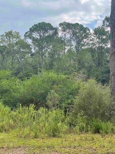 30524 Bob Gantt Rd, Andalusia, AL, 36421