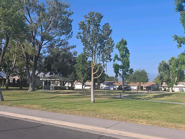 2208 El Grande St — Photo 21