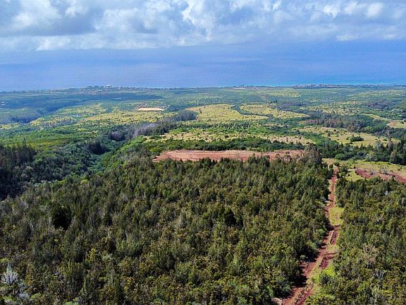 2nd image of Mauka Of Honolua Ditch