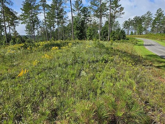 4th image of LOT 65 High River Rd