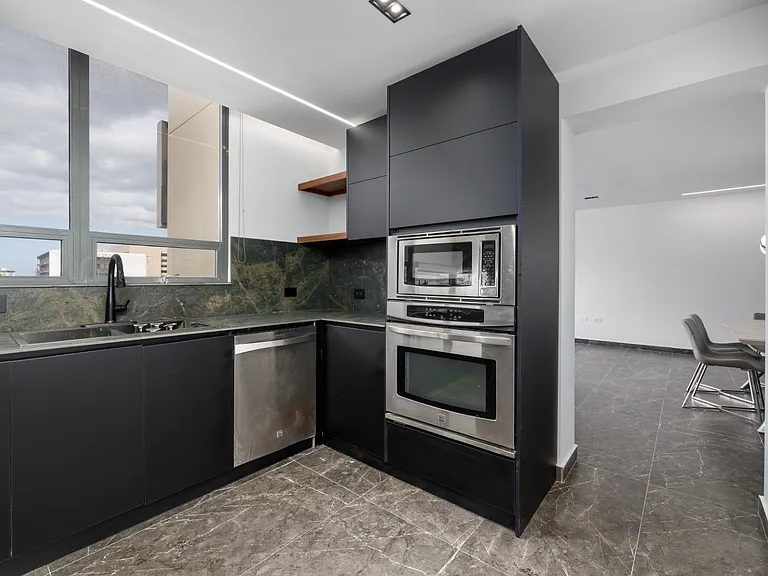 120 Avenue Carlos E Chardon #1503 — Photo 4