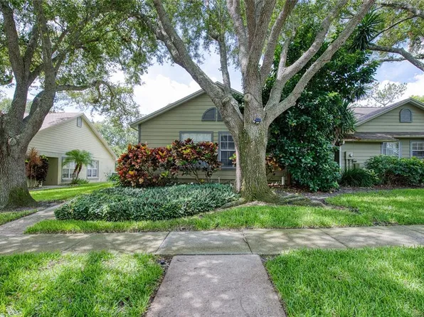 2390 Bentley Dr, Palm Harbor, FL 34684