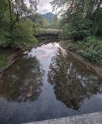 5th image of 558 Beeline Rd