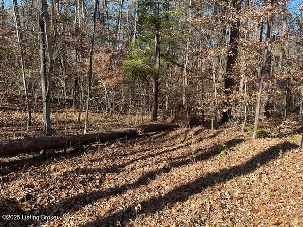 L32 Ted Logsdon Rd, Clarkson, KY 42726