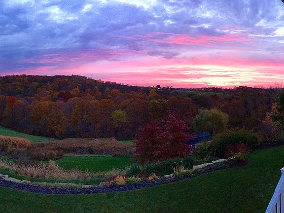 Morning view 
