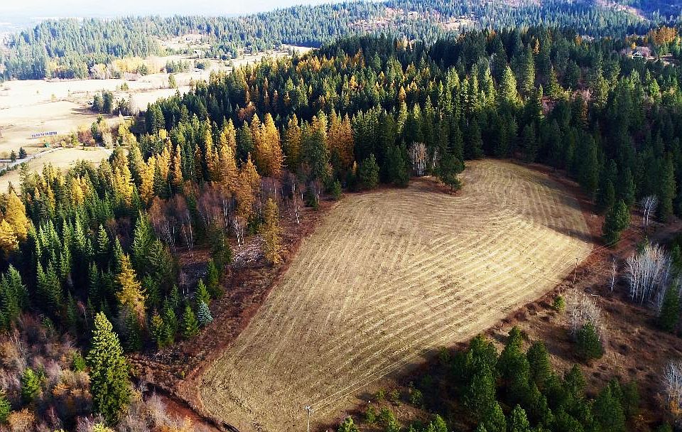 Several acres, open portion.