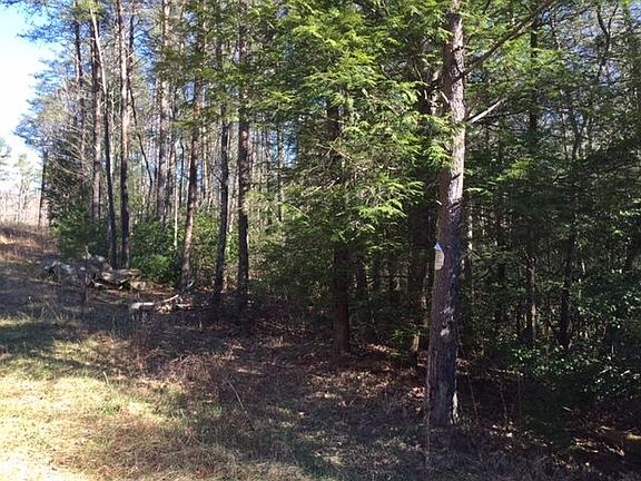 3rd image of 12 Gray Creek Rd #12