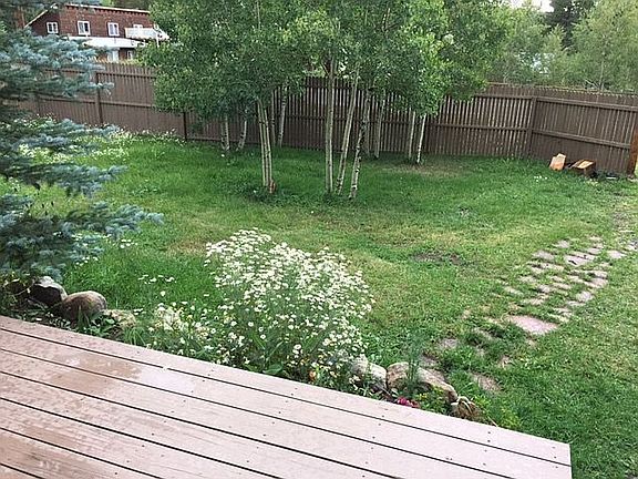 Verdant Front Yard