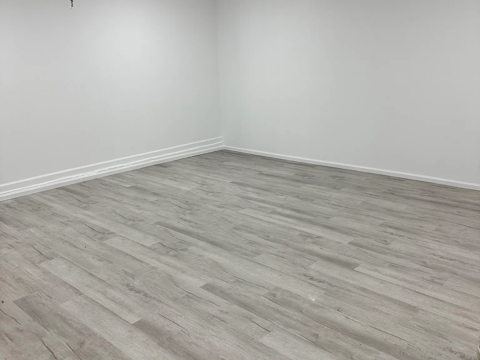 2 bed, 800 sqft, $1,450 — Photo 1