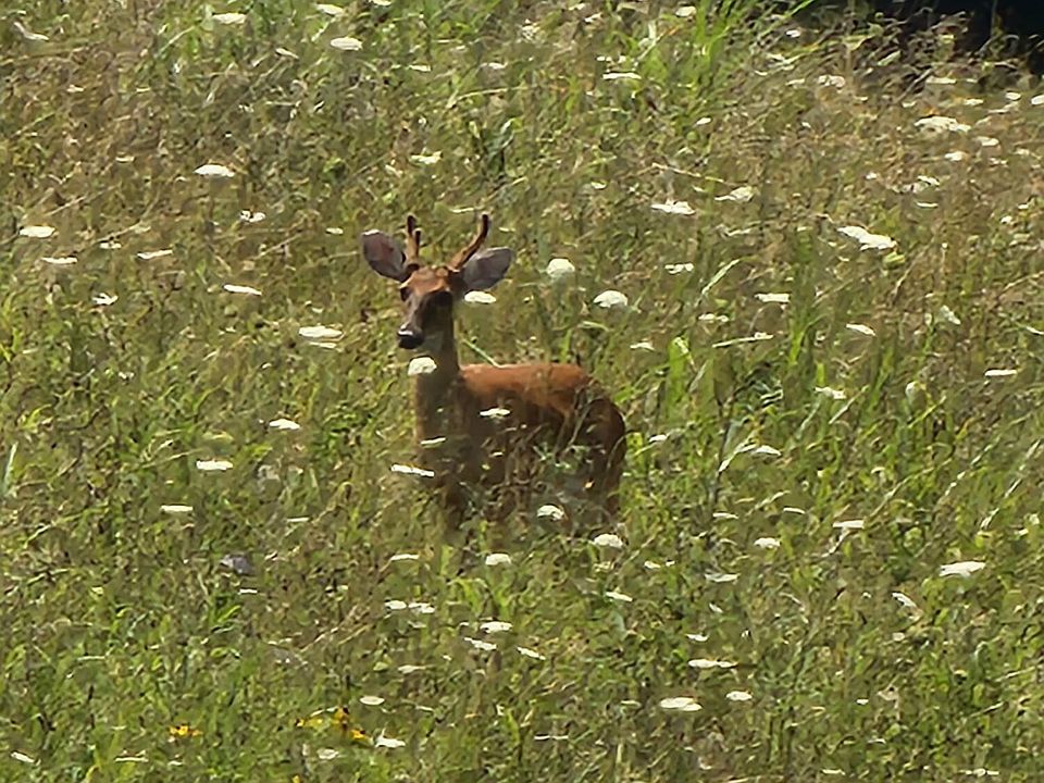 1st image of 120 Richards Rd