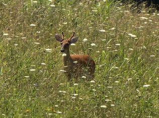 120 Richards Rd, Rogersville, TN 37857