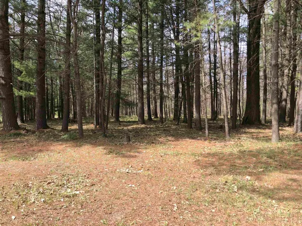 W Eight Point Lake Rd, Lake, MI 48632