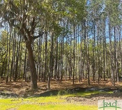 1st image of 171 Wood Haven Lane