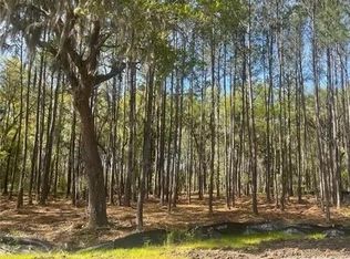 171 Wood Haven Ln, Pooler, GA 31322