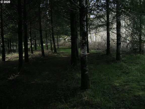 3rd image of O'Black Ln