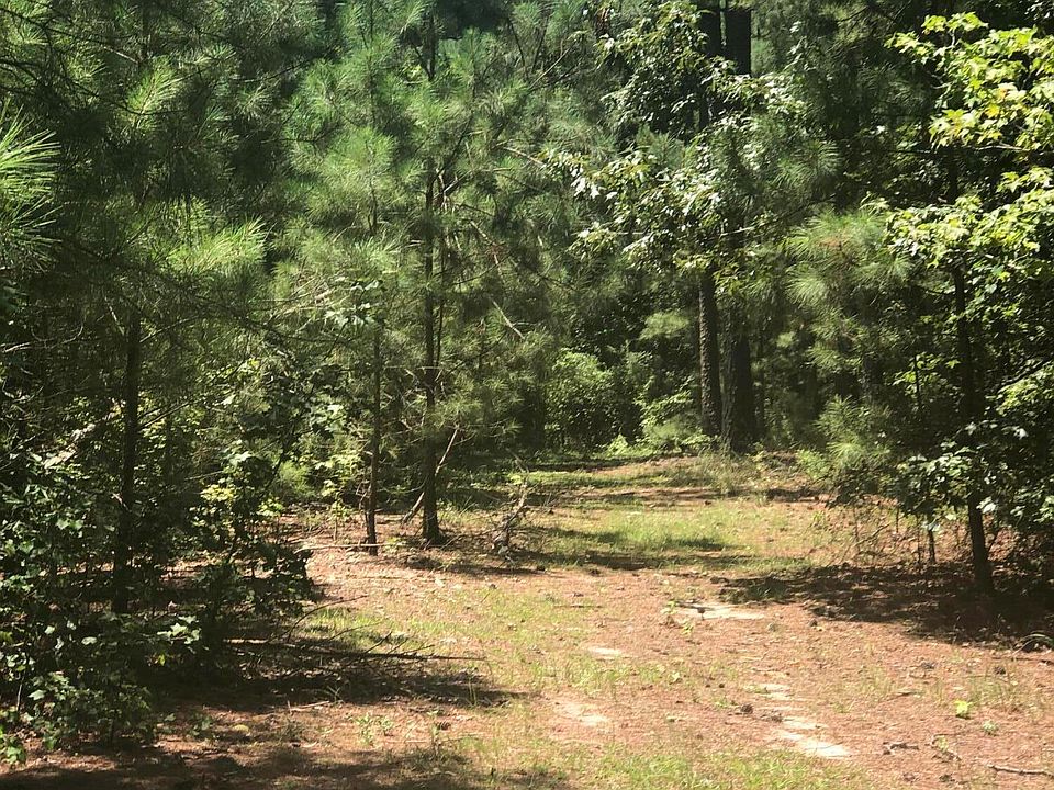 2nd image of 297 N Horace Walters Road