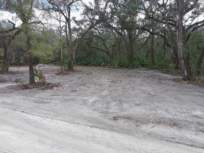  NE 325th Ave, Old Town, FL, 32680