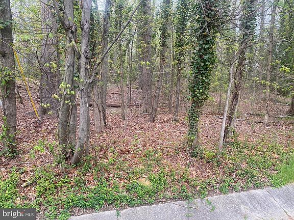 5th image of 5202 Woodland Blvd