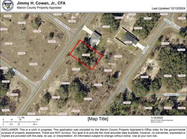Tbd Guava Terrace, Ocklawaha, FL 32179