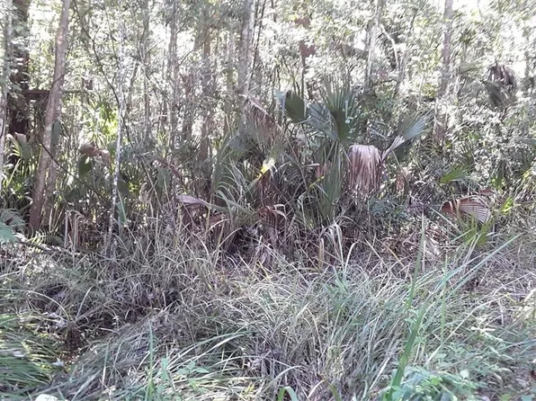 17768 NW 296TH STREET LOT D, OKEECHOBEE, FL 34972