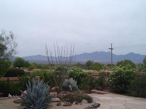 View from the Backyard