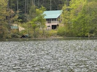 368 Ripshin Lake Rd, Roan Mountain, TN 37687