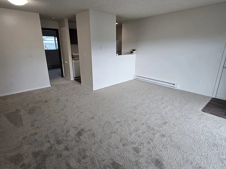 1 Bedroom Layout