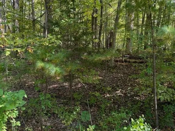 54 Tommy Trail, Athens, NY 12015