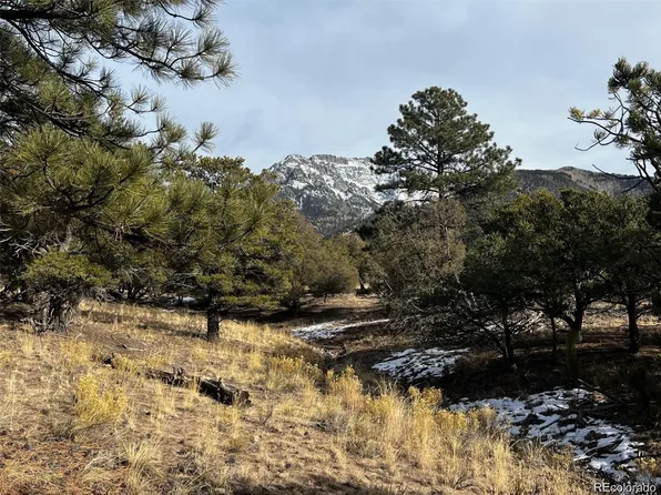 1153 Badger Rd, Crestone, CO 81131