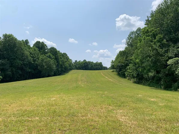 Locust Grove Church Rd, Knob Lick, KY 42154