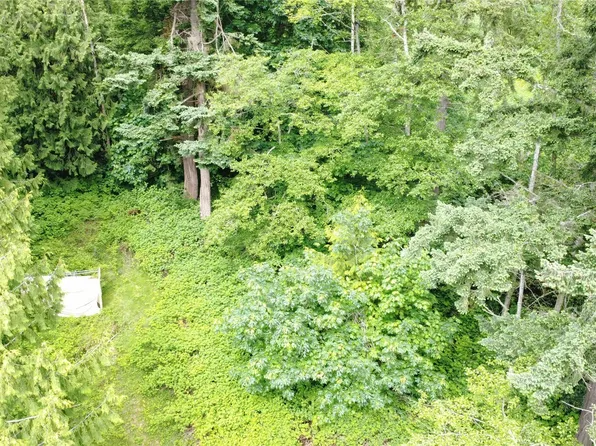 99 A Port Susan Drive, Hat Island, WA 98206