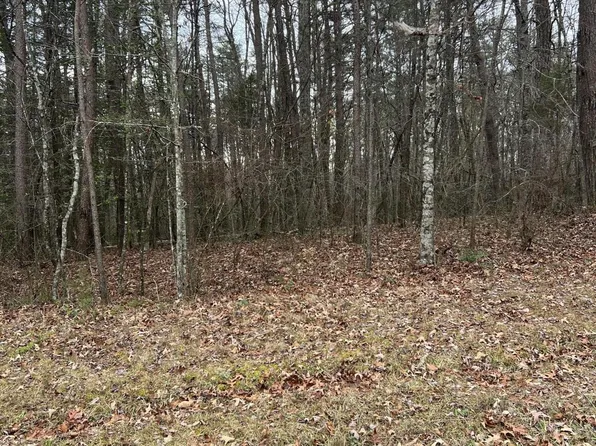 0 Cliff Park Rd Lot 2, Monterey, TN 38574