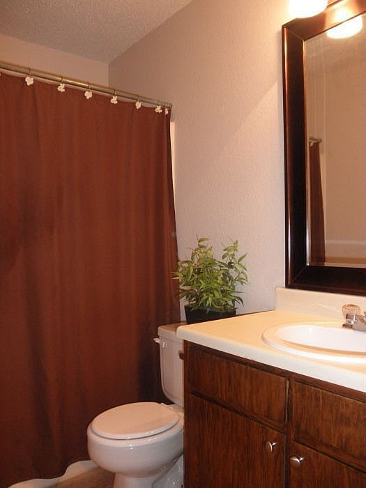 Updated Hall Bathroom