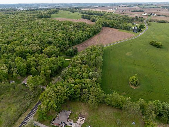 2nd image of Lot Borchert