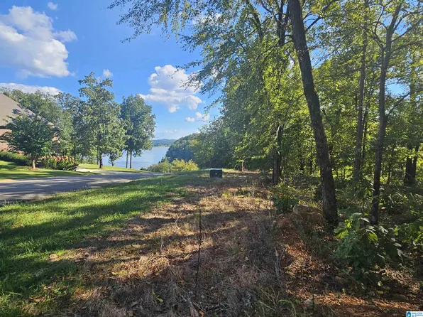 187 Willow Loop Cir, Lincoln, AL 35096