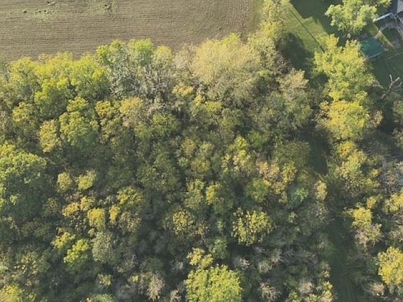 5th image of 1695 W Hospital Rd