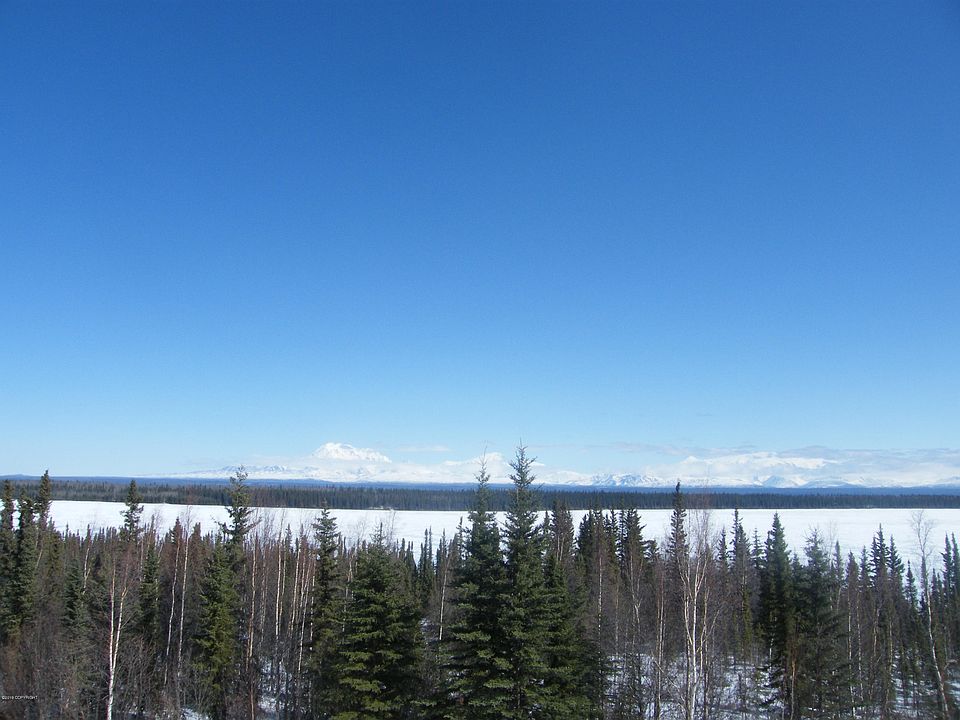 2nd image of L29 B4 Willow