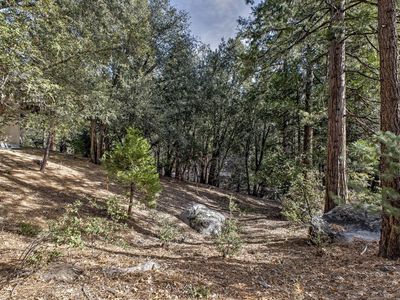 Pine Crest Ave, Idyllwild, CA, 92549