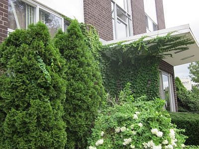 2nd image of 266 Neponset Ave APT 4