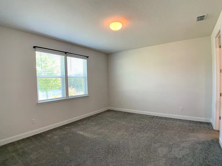 1499 Tropical Pine Cv — Photo 23
