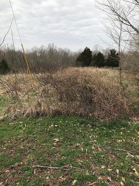 2nd image of 3010 Knox Lillard Rd