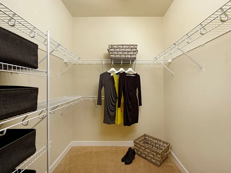 Spacious, walk-in closet