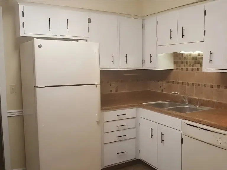 1045 Baccharis Dr — Photo 5