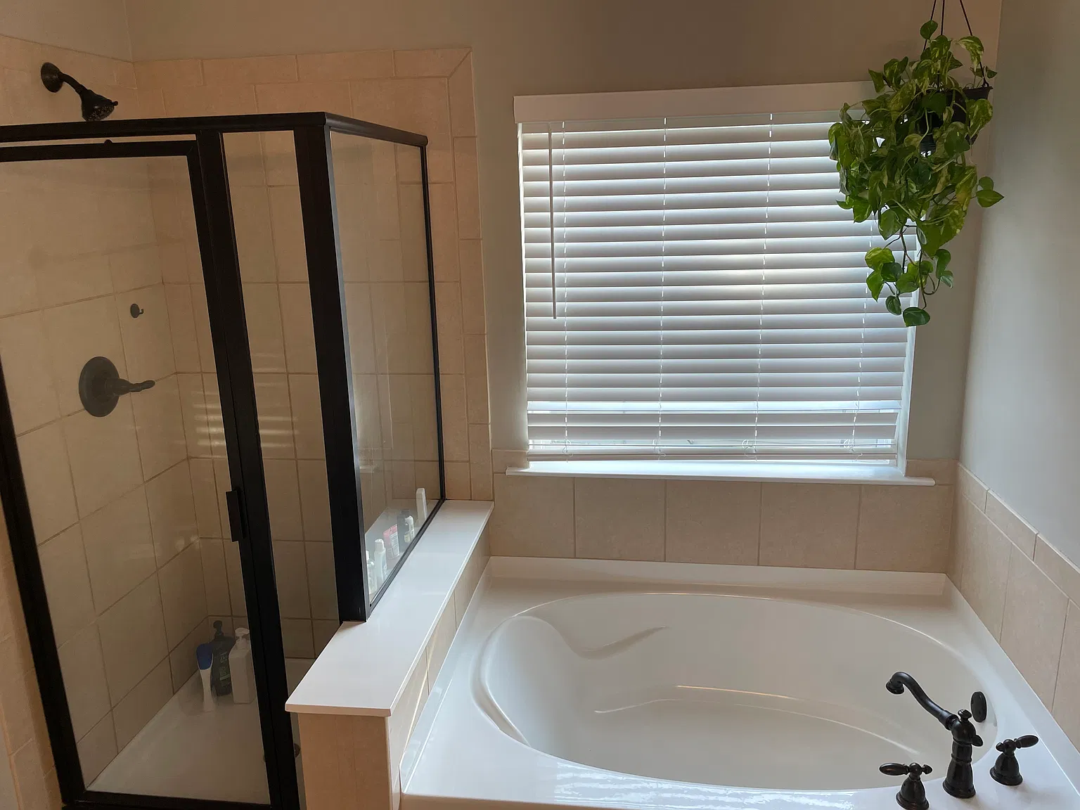 3 bed, 2.5 bath, 2377 sqft, $2,689 — Photo 4