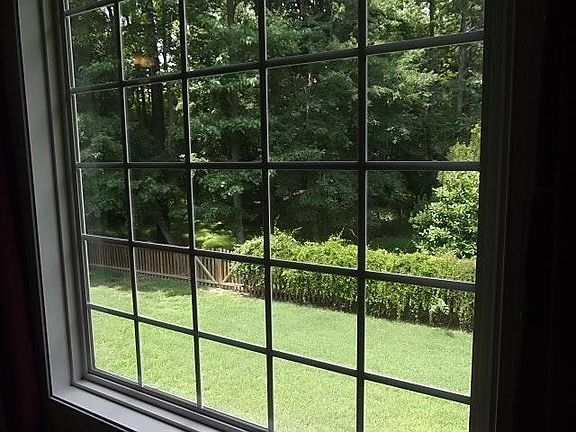 Beautiful view out picture window from the dining room