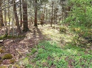 0 Bliss Gulf Rd, Oneonta, NY 13820