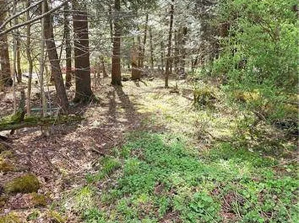 0 Bliss Gulf Rd, Oneonta, NY 13820