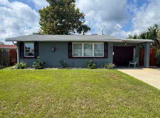 20 Hibiscus Dr, Ormond Beach, FL 32176