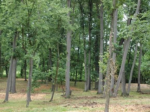 3rd image of 3461 Oak Hollow Dr
