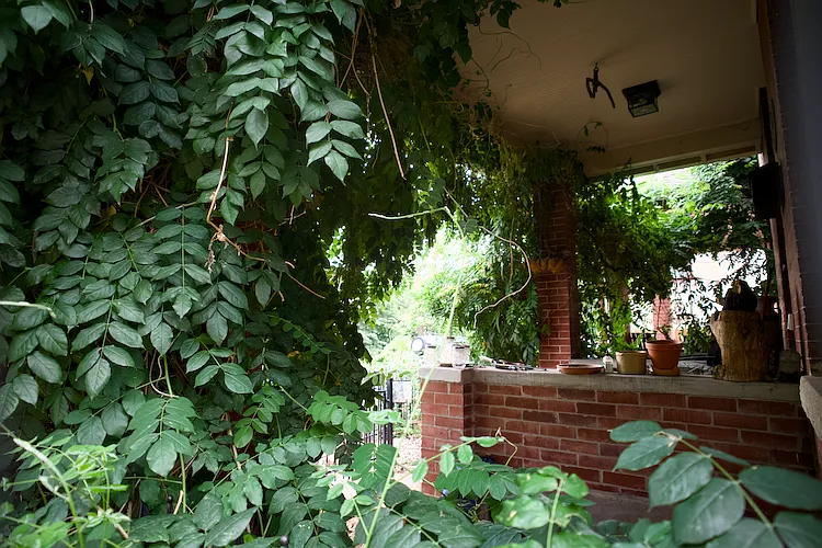 shady front porch